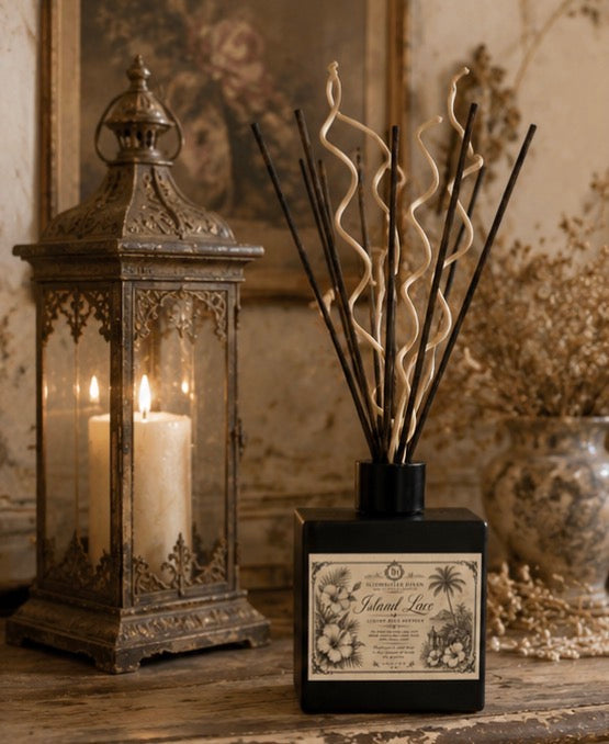 Island Lace Reed Diffuser beside an antique brass lantern and dried florals in a French Victorian vignette